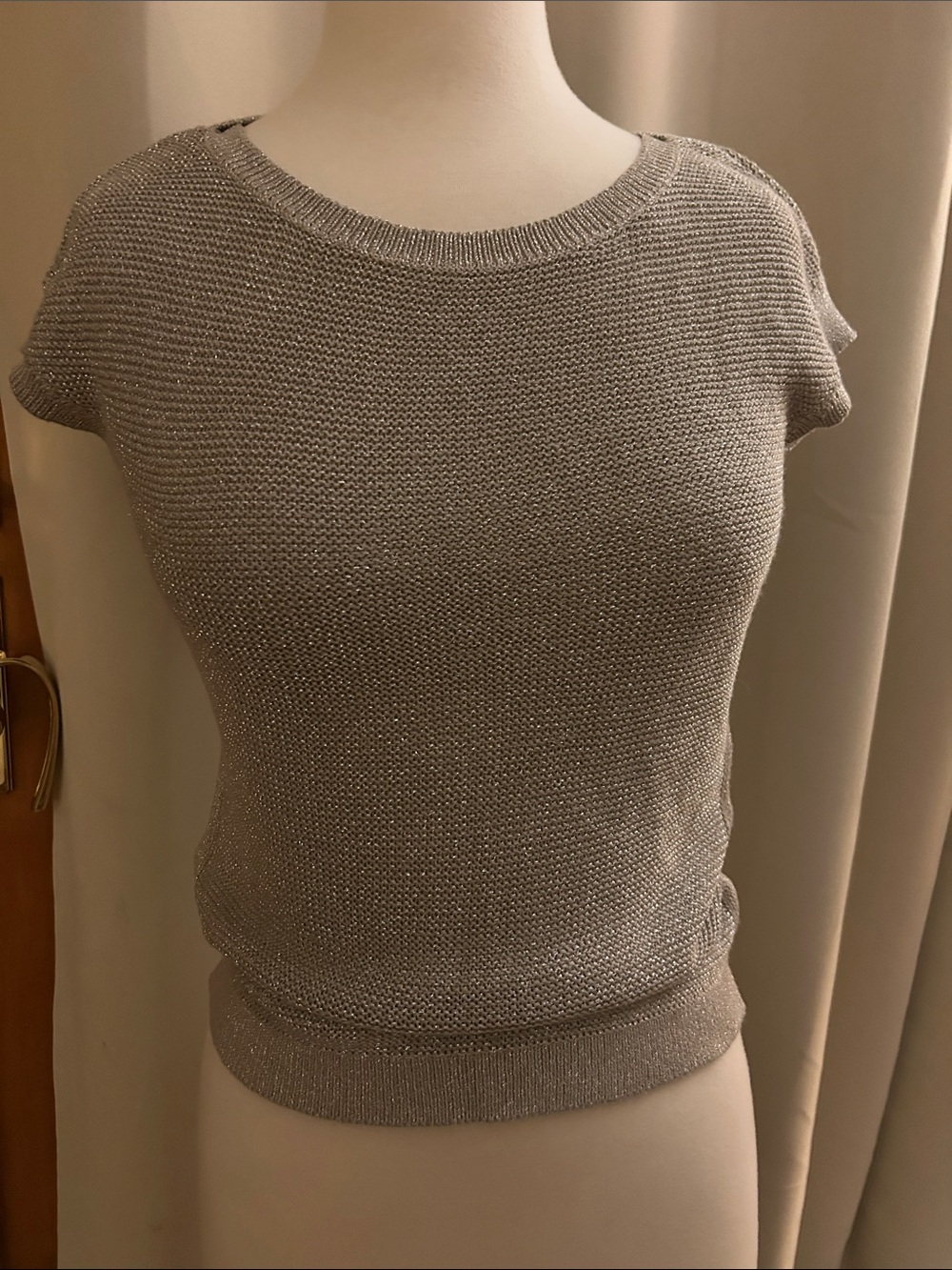 White House Black Market Metallic Silver Mesh Short Sleeve Crew Sweater